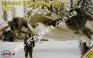 1/72 MPM 72500 Bristol Blenheim Mk.I