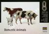1/35 Master Box 3566 Domestic Animals