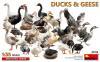 Ducks & Geese (33 Figures) 1/35 MiniArt 38114