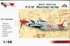 1/48 AMG 48501 North American P-51D Mustang racing
