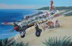 1/72 AZ model 7359 Mitsubishi Ki-30 
