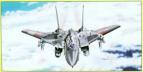 1/72 Bilek 942 F-14A Tomcat