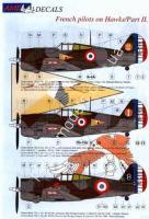 1/48 AML AMLD 48004 French pilots on Curtiss Hawk Part II.