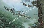 1/48 Roden 406 Grumman OV-1A/JOV-1A Mohawk