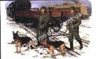 1/35 Dragon 6098 German Feldgendarmerie w/ Dogs