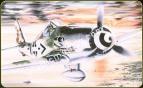 1/35 Bilek 983 FW-190 D-2