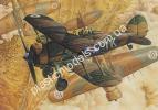 1/48 Roden 408 Gloster Gladiator MkI