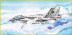 1/72 Bilek 943 F-14 A