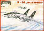 1/72 Bilek 960 F-14 A