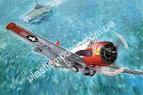 1/48 Roden 451 North American T-28C Trojan