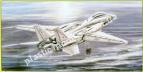 1/72 Bilek 939 F-14 A