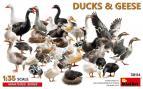 Ducks & Geese (33 Figures) 1/35 MiniArt 38114