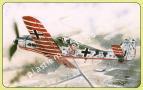 1/72 Bilek 980 FW-190 D-2