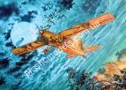 1/48 Roden 439 Fairchild AU-23A Peacemaker