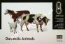 1/35 Master Box 3566 Domestic Animals