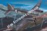 1/72 Bilek 937 Me-210 A