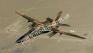 1/48 ITALERI 2689 F-111 F AARDWARK