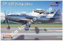 1/48 Dora Wings 48003 Bell TP-63E Kingcobra  Trainer