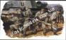 1/35 Dragon 6057 GERMAN GRENADIERS  (East Prussia 1945)