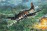 1/48 Roden 450 North American T-28D Trojan