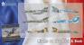 1/72 Special hobby 72414 Mirage F.1 Duo Pack & Book
