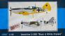 1/32 Azur 108 Dewoitine D.520 'Black & White Crosses'