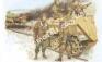 1/35 Dragon 6131 Armored Reconnaissance,Wiking Div.