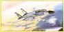 1/72 Bilek 945 F-14 A