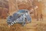 1/35 Roden 817 Ford V8-G81A Special (1938)