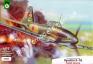 1/72 FLY 72035 Ilyushin Il-10 Russian service