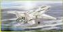 1/72 Bilek 939 F-14 A