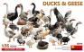 Ducks & Geese (33 Figures) 1/35 MiniArt 38114
