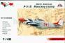 1/48 AMG 48501 North American P-51D Mustang racing